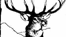 deer - source http://www.theosociety.org/pasadena/dyfed/fates-1c.gif